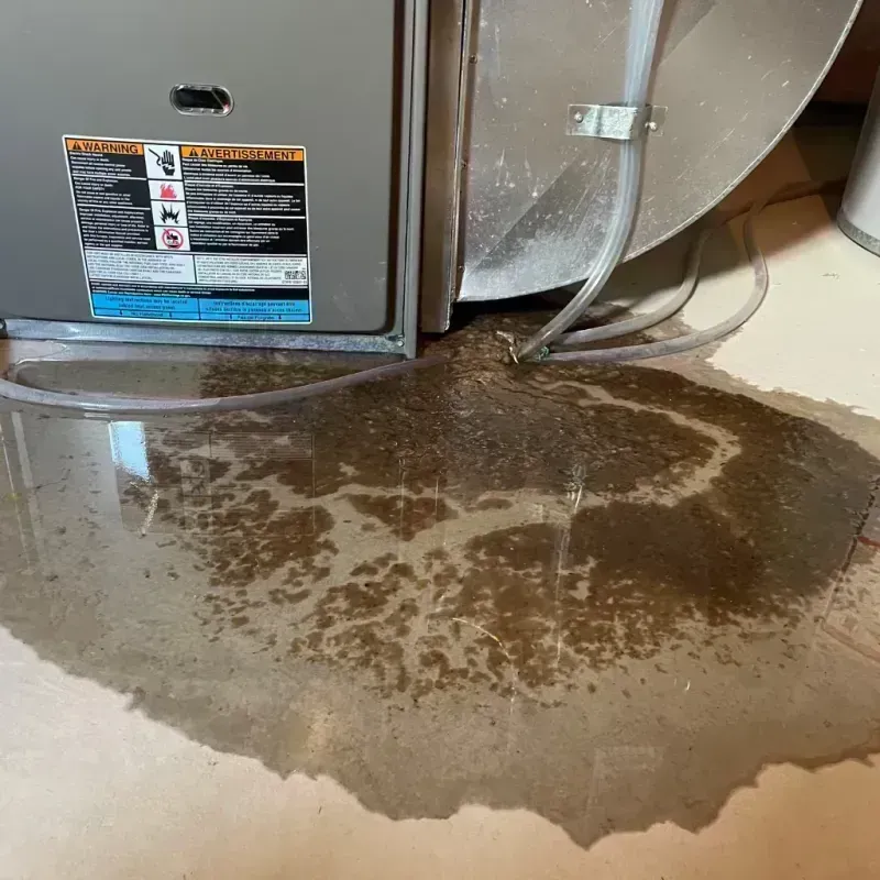 Appliance Leak Cleanup in Terre du Lac, MO